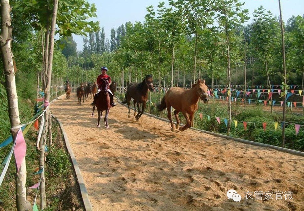 太阳成集团